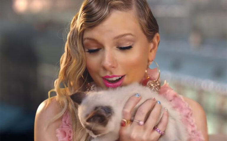 taylor swift cat benjamin net worth